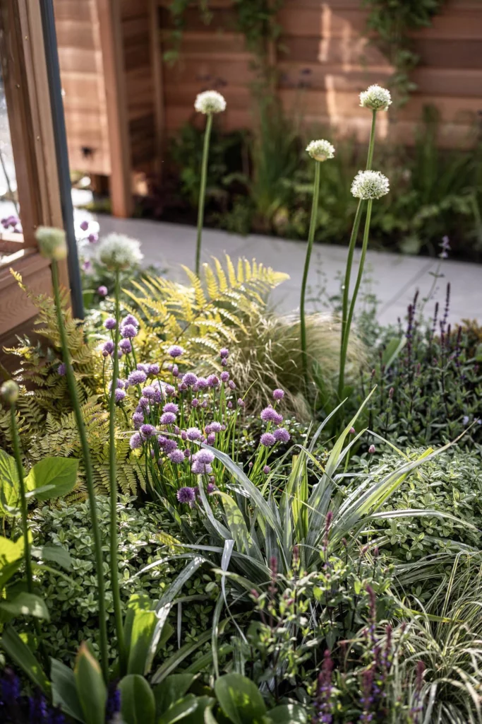 Lush garden planting with purple alliums, golden ferns, and textured grasses.