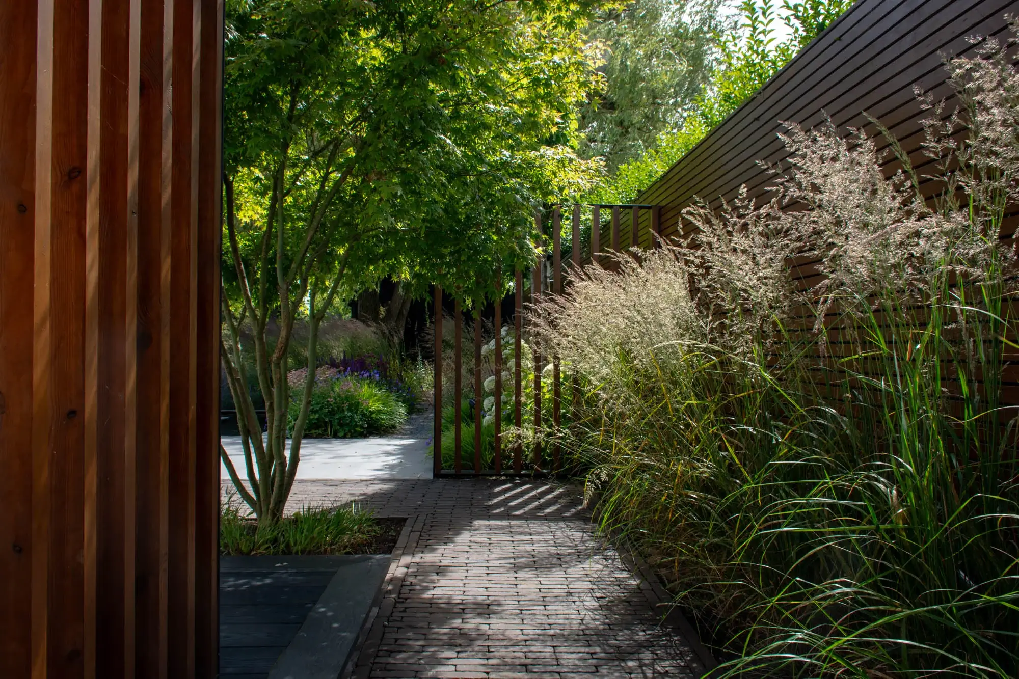 Dappled light over brick path and ornamental grasses.