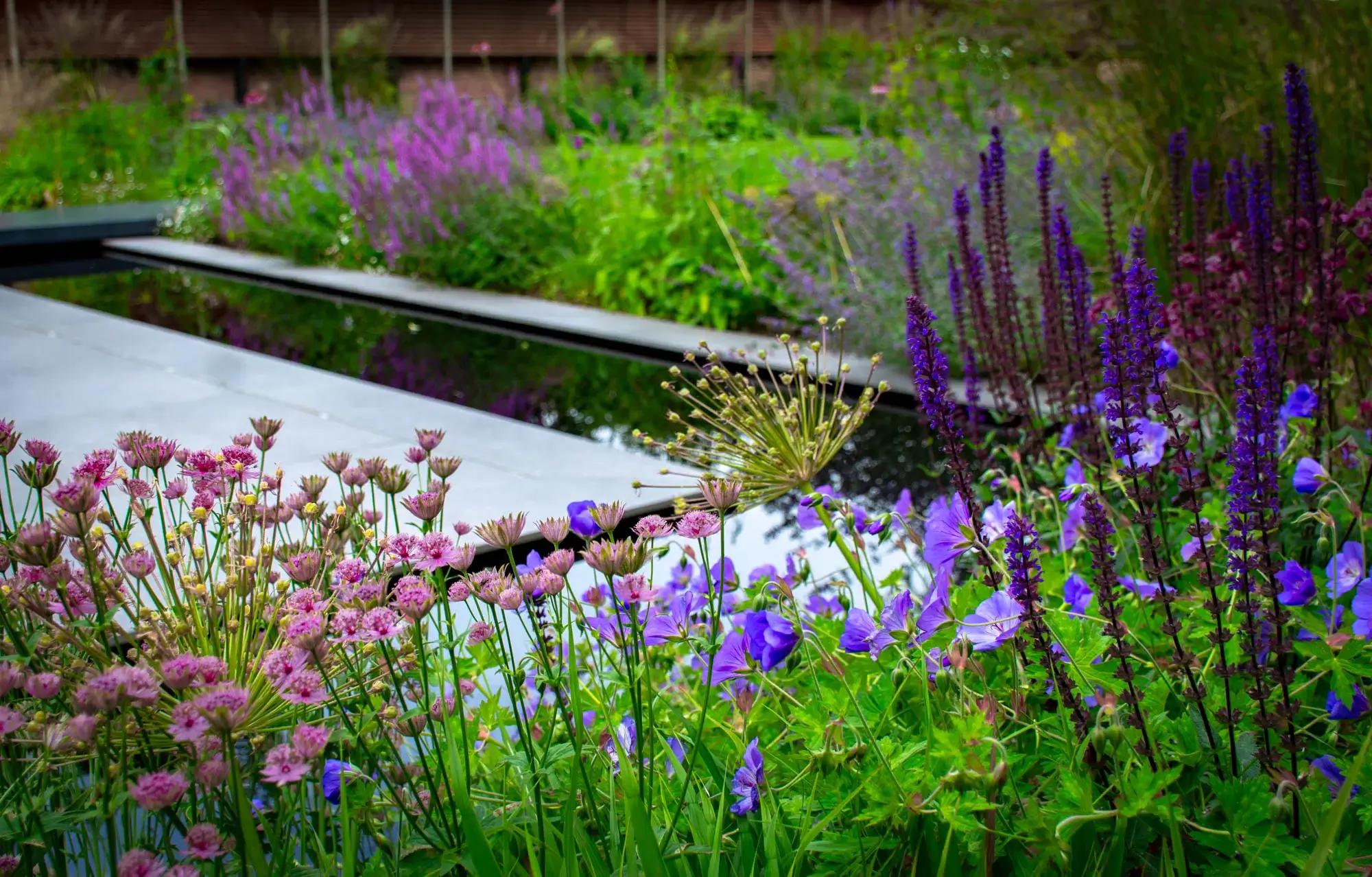 Vibrant summer flowers framing a reflective garden pond.