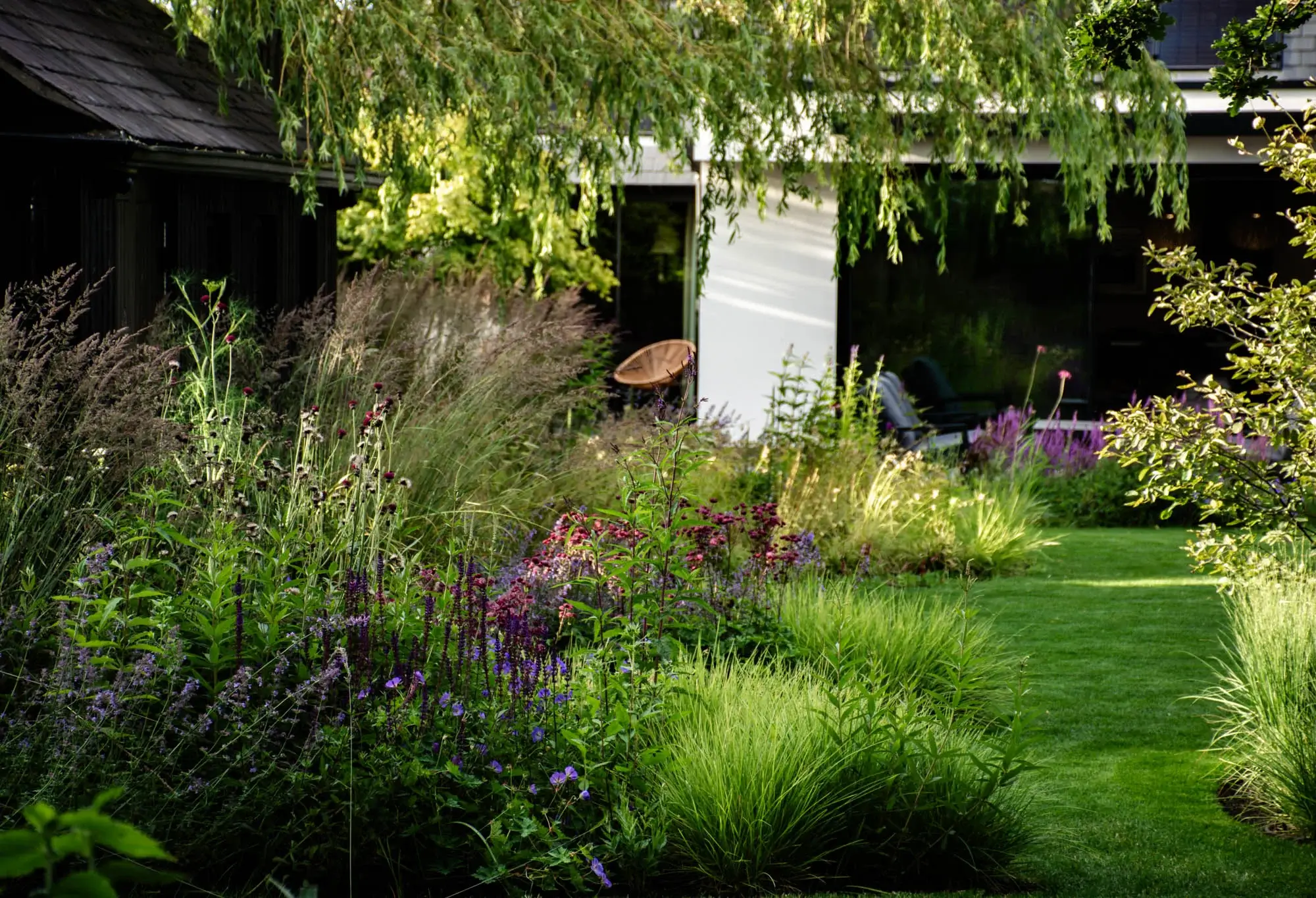 Flowing grasses and soft planting around modern garden terrace.