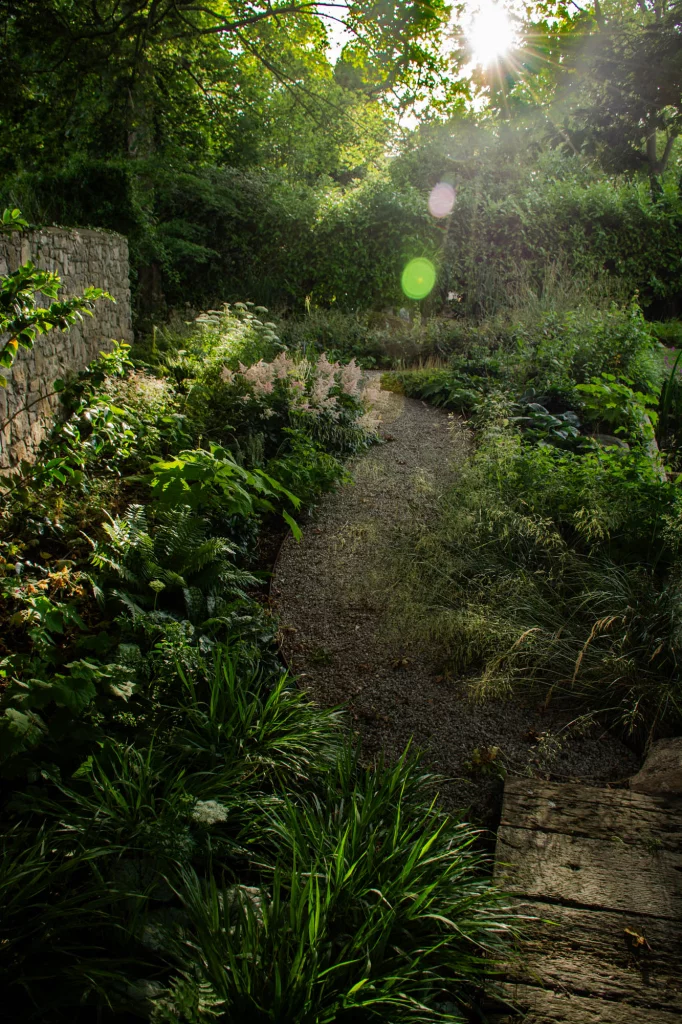 Winding gravel path through dappled shade and soft planting.