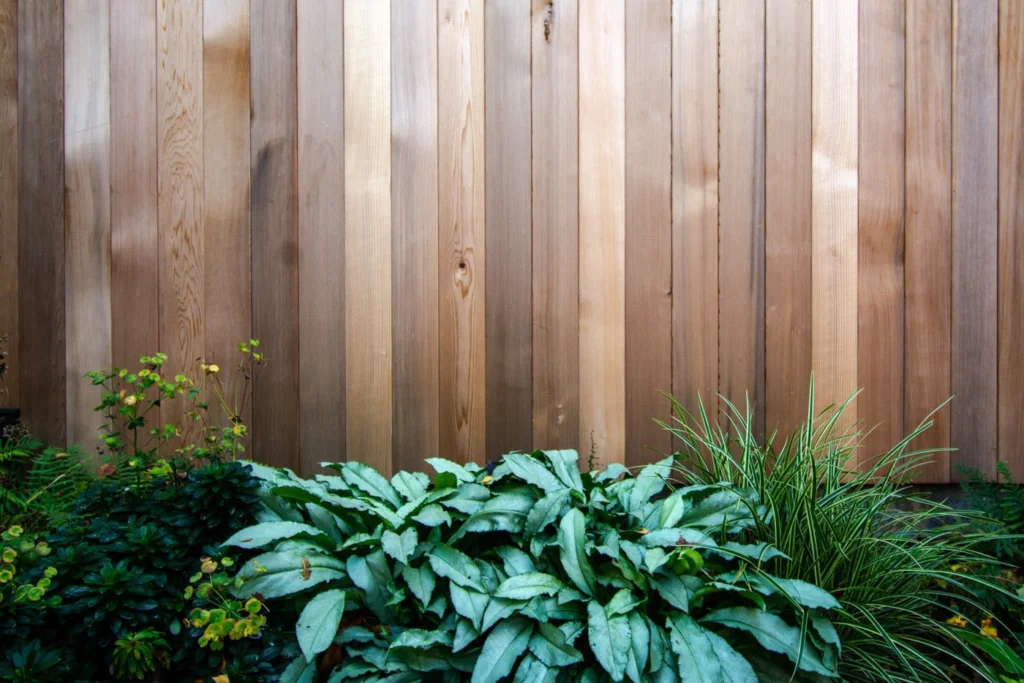 Low planting in front of a vertical timber-clad garden wall.