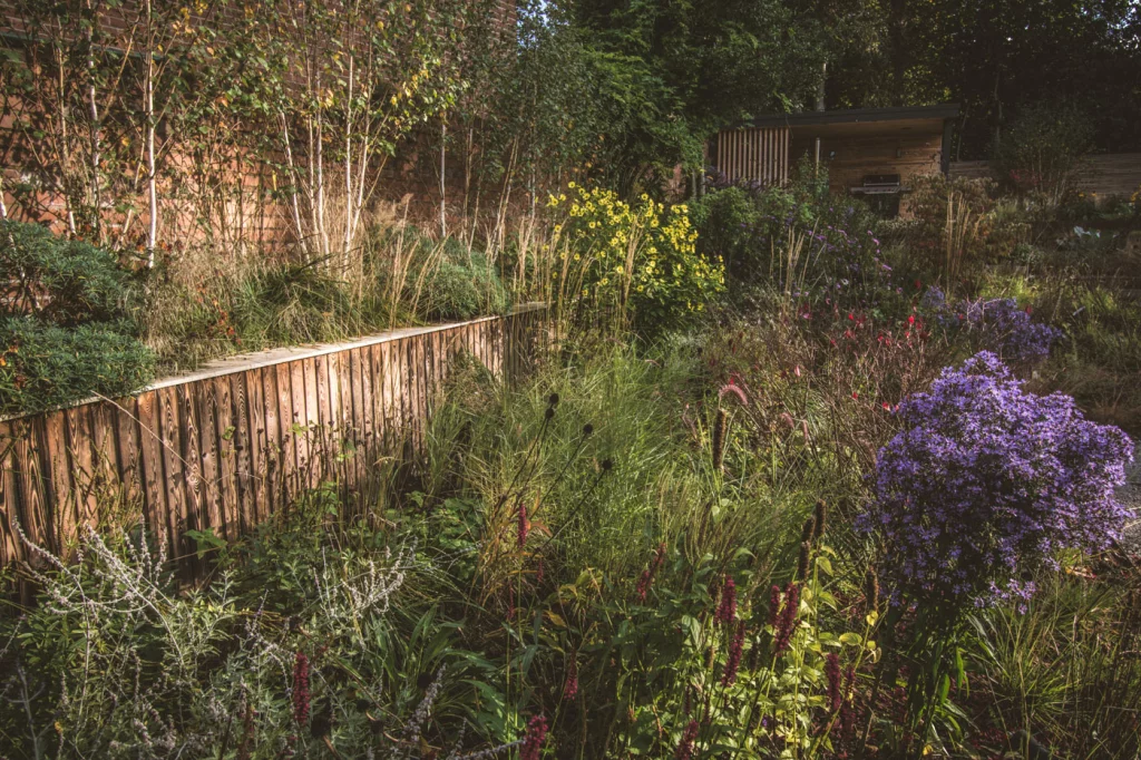 Mixed garden planting with tall grasses and colourful flowering perennials.
