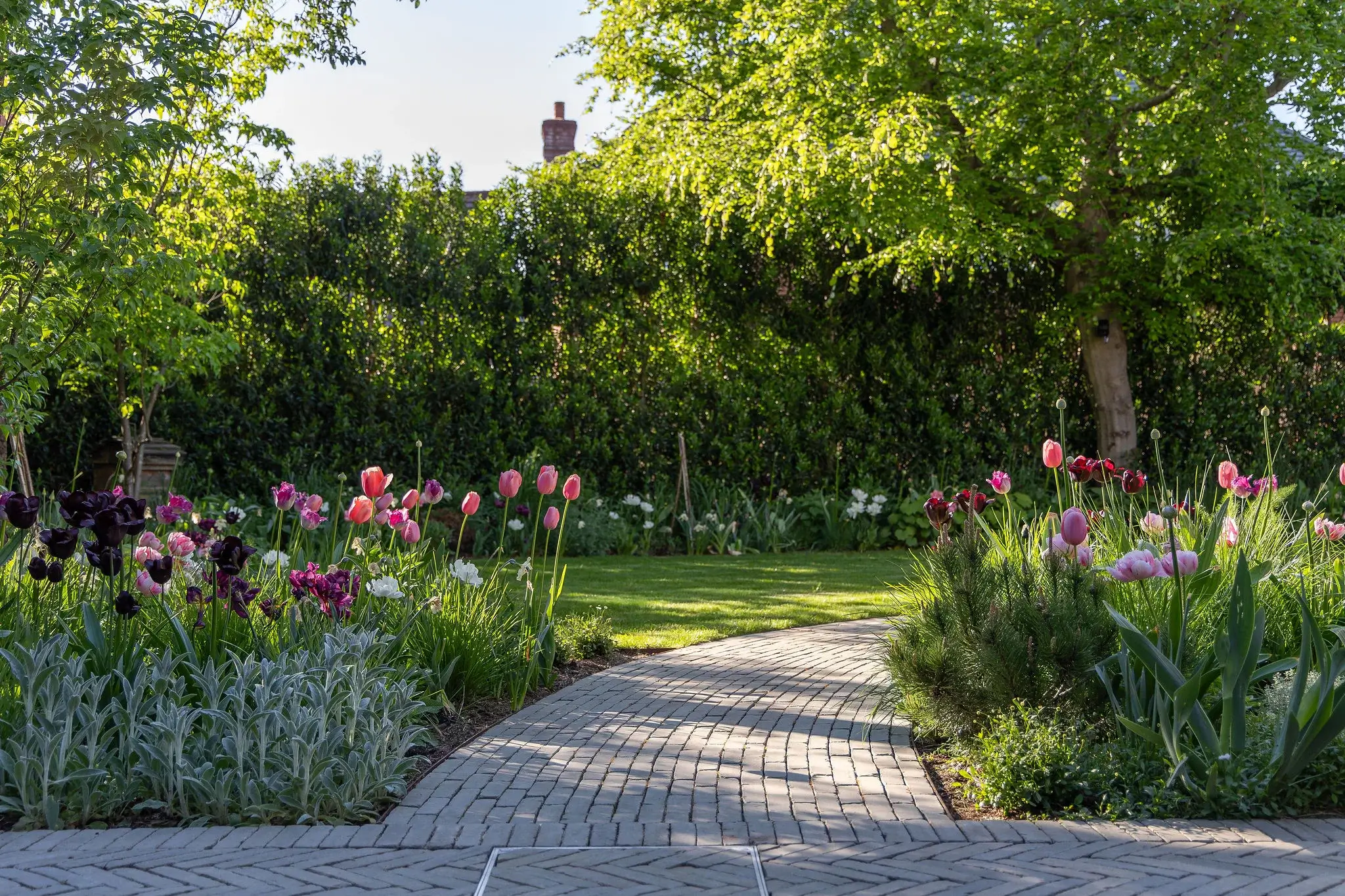 Curved garden path with tulip borders and mature trees.