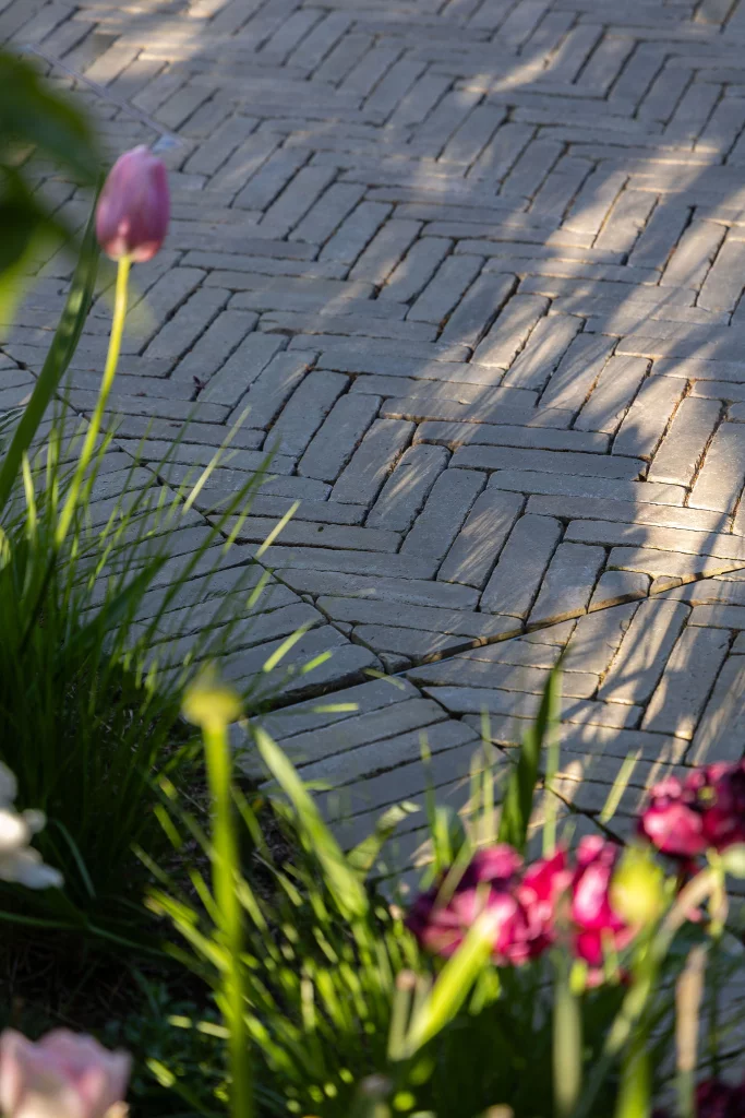 Close-up of herringbone brick paving with soft planting shadows.