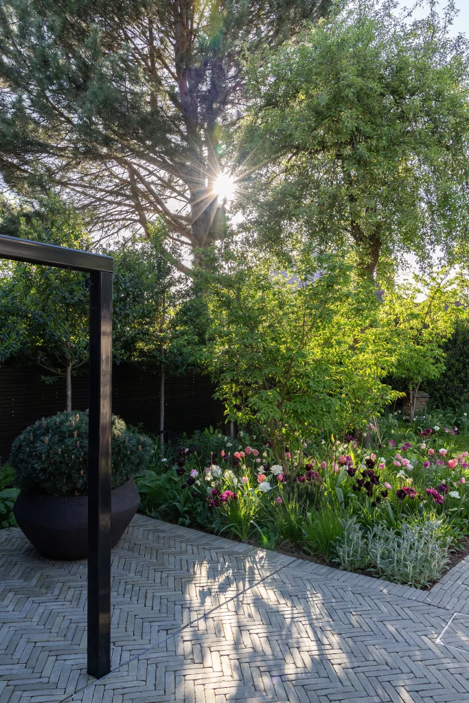 Garden paving and planting with sunlight filtering through mature trees.
