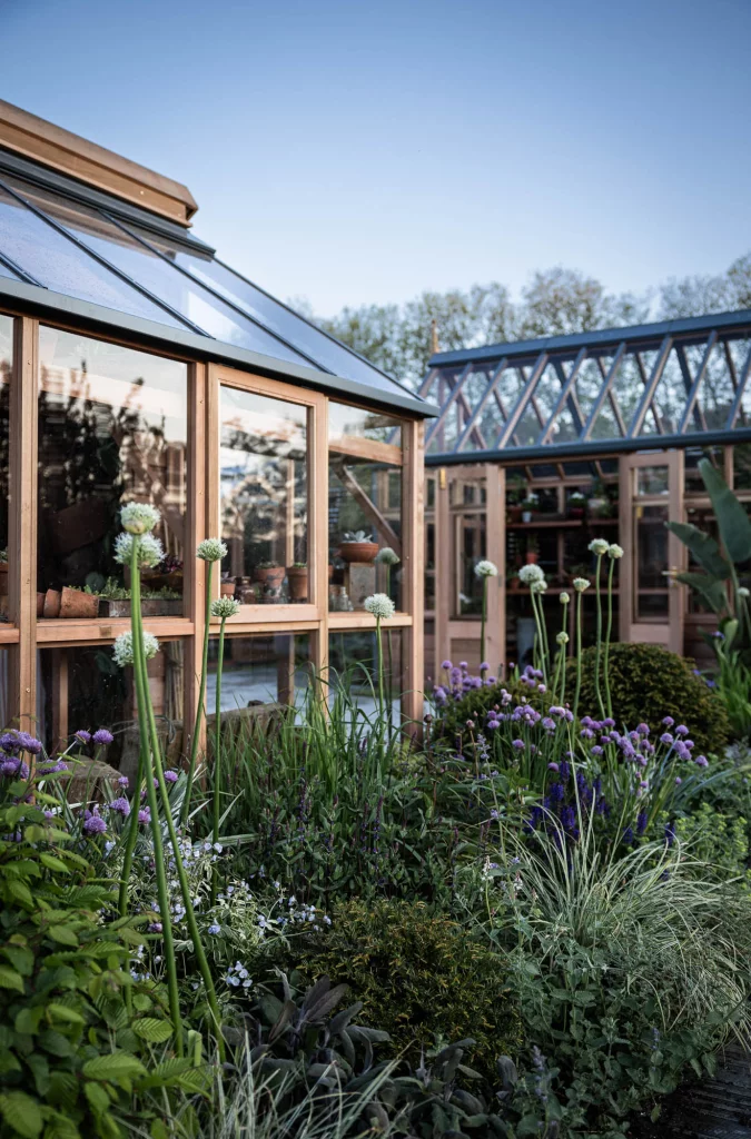 Contemporary greenhouses framed by lush planting and tall white alliums.