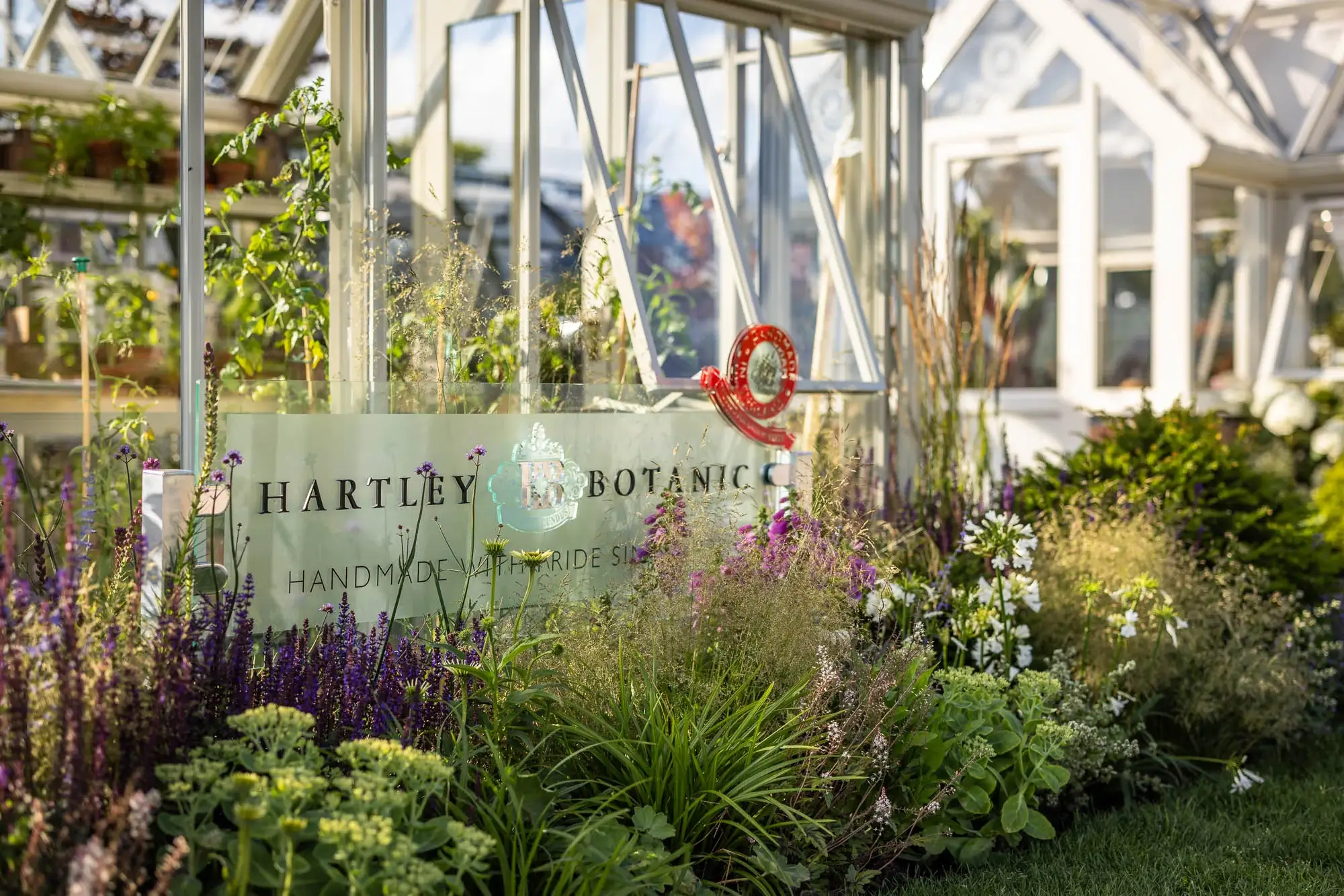 Greenhouse framed by soft grasses, purple salvia and summer flowers.