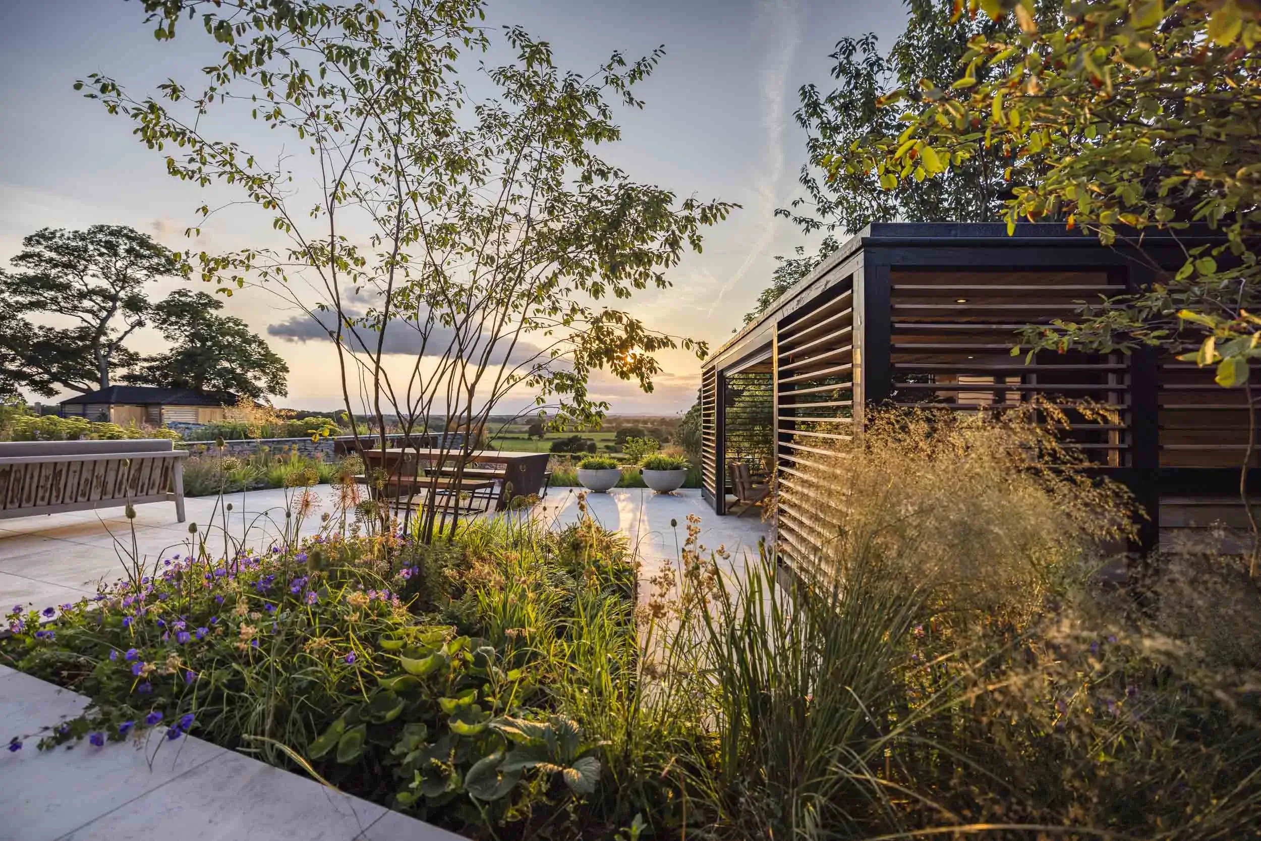 Contemporary terrace with lush planting and sunset views over countryside.