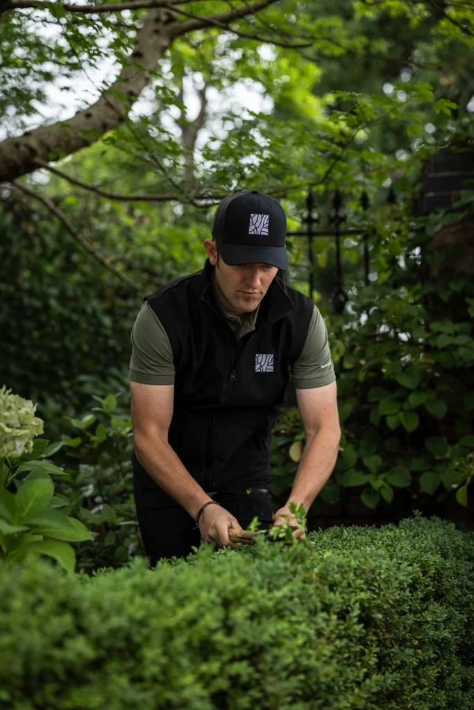 A Base Squared landscaper trims a low box hedge by hand, wearing branded workwear and cap, surrounded by lush greenery and mature garden planting.